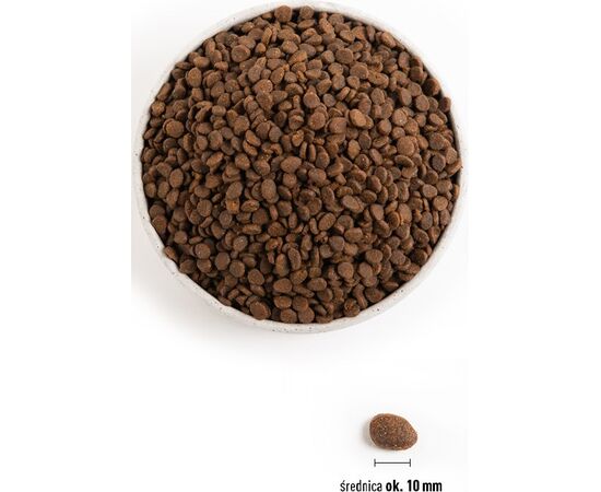 ORIJEN CAT REGIONAL RED 1,8KG