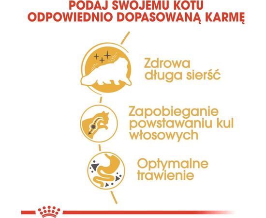 ROYAL CANIN PERSIAN DRY CAT FOOD 2 KG ADULT POULTRY