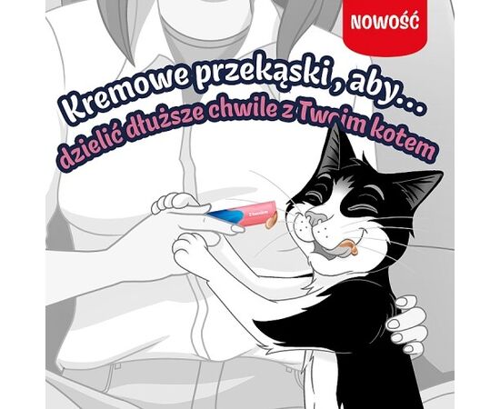 PURINA NESTLE PURINA FELIX DELI MOMENTS SALMON - CAT TREATS - 4X10G