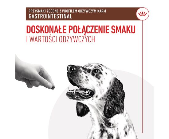 ROYAL CANIN DOG GASTROINTESTINAL TREATS VHN - DOG TREAT - 230G