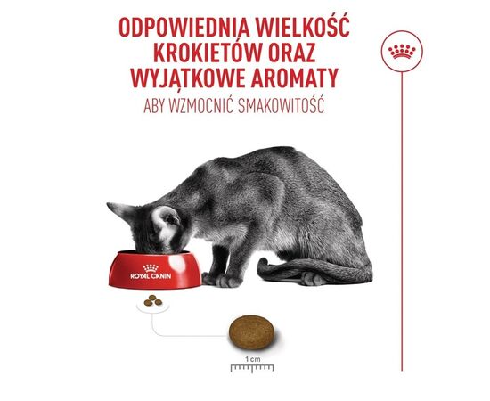 ROYAL CANIN SAVOUR EXIGENT - DRY CAT FOOD - 2KG