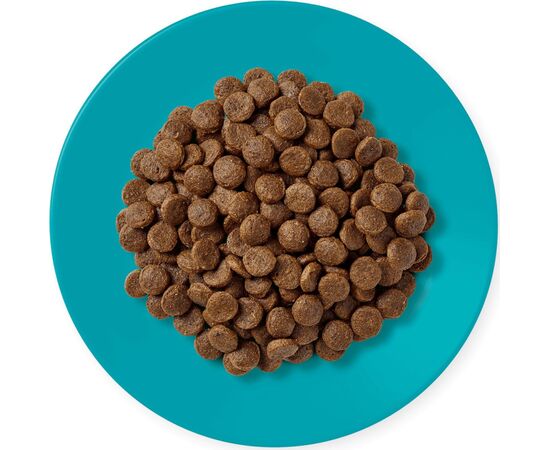 APPLAWS ADULT OCEAN FISH WITH SALMON - DRY CAT FOOD - 1,8KG