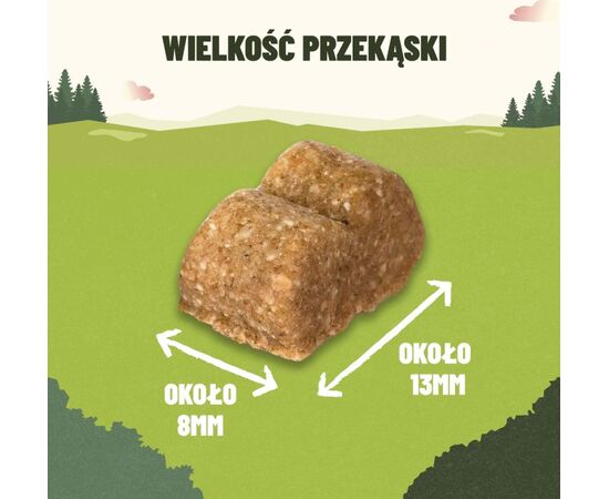 PURINA NESTLE PURINA ADVENTUROS TRAINING SALMON 40G