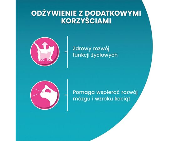 PURINA NESTLE PURINA ONE JUNIOR ŁOSOŚ/MARCHEW 85G