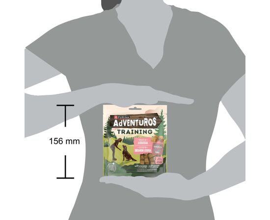 PURINA NESTLE PURINA ADVENTUROS TRAINING SALMON 40G