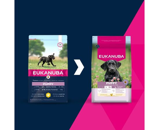 EUKANUBA PUPPY L XL RICH IN CHICKEN - DRY DOG FOOD - 15KG