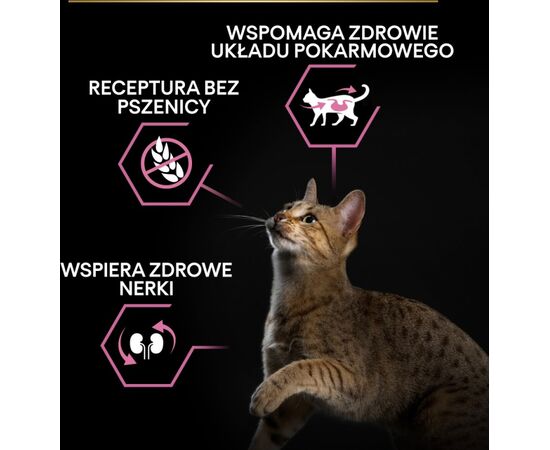 PURINA NESTLE PURINA PRO PLAN DELICATE INDYK 400G