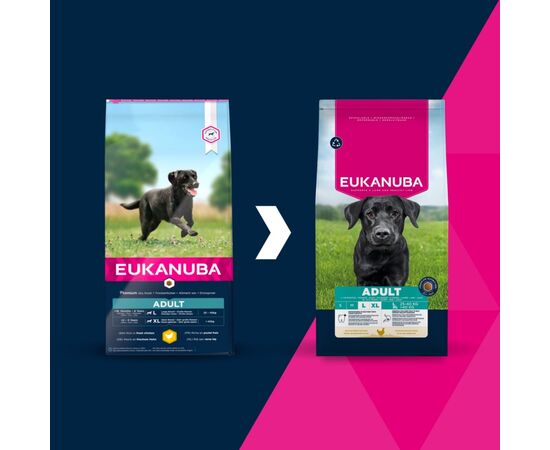 EUKANUBA ADULT L XL RICH IN CHICKEN - DRY DOG FOOD - 15KG