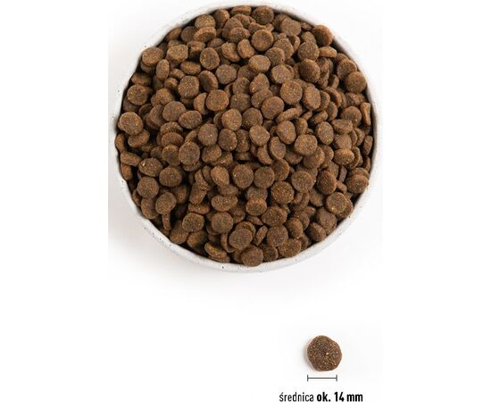 ACANA SINGLES FREE-RUN DUCK - DRY DOG FOOD - 2KG