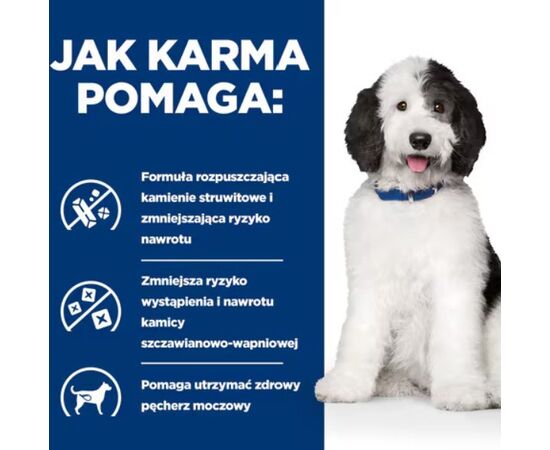 HILL'S PD CANINE URINARY CARE C/D 370G DLA PSA