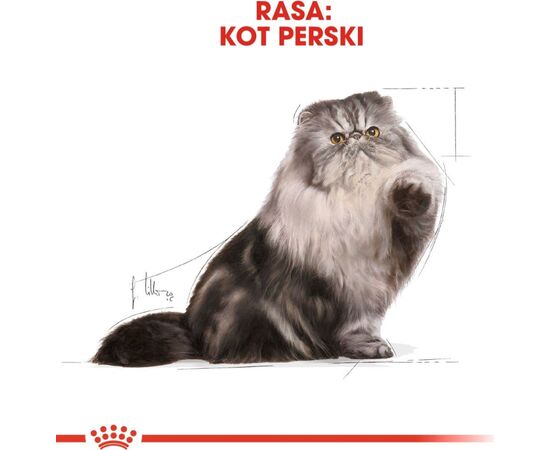 ROYAL CANIN PERSIAN DRY CAT FOOD 2 KG ADULT POULTRY