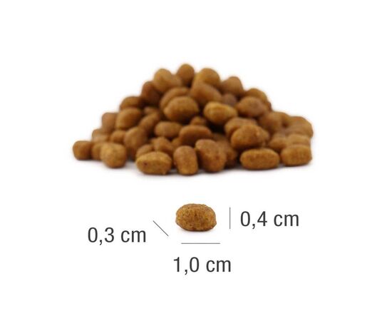 PLATINUM MEATCRISP KITTEN FISH - DRY CAT FOOD - 3KG