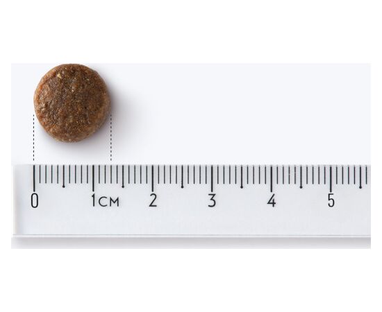 JOHN DOG GOOD FORM ADULT CHICKEN WITH BEEF - DRY DOG FOOD - 12 KG