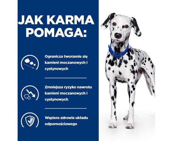 HILL'S PRESCRIPTION DIET FOOD URINARY CARE U/D - WET DOG FOOD - 370G