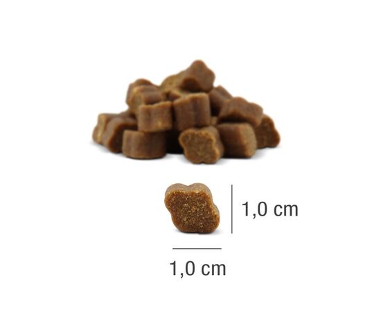 PLATINUM FIT-BITS MOBILITY - DOG TREAT - 150G
