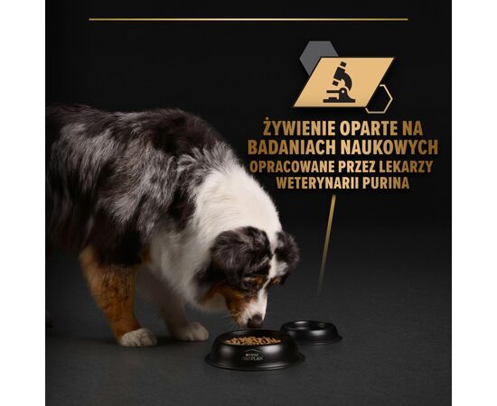 PURINA NESTLE PURINA PRO PLAN EVERYDAY NUTRITION ALL SIZE ADULT TURKEY IN JELLY - WET DOG FOOD - 400G