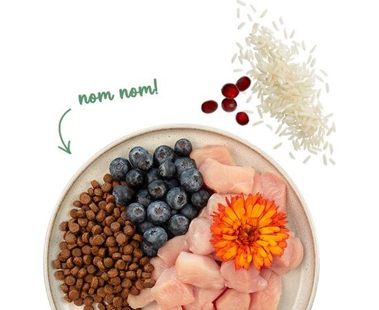 BOSCH SANABELLE SENSITIVE WITH CHICKEN - DRY CAT FOOD - 2KG