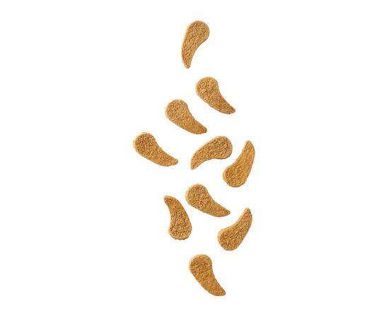 JOHN DOG AIR-DRIED TURKEY DIPPERS - DOG TREAT - 80G