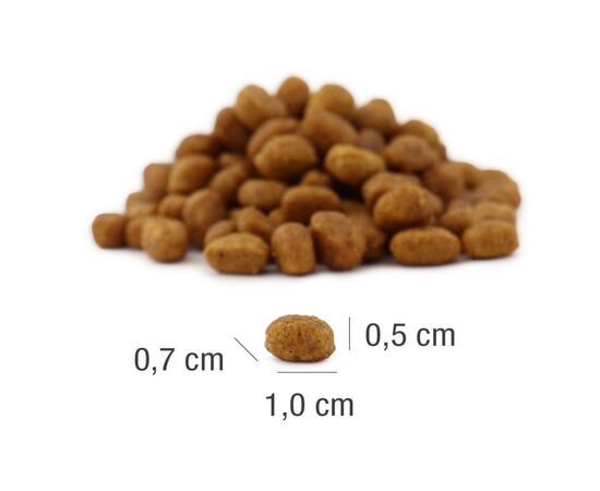 PLATINUM MEATCRISP ADULT FISH - DRY CAT FOOD - 1,5KG