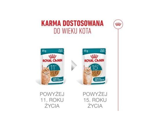ROYAL CANIN FHN CAT AGEING 11+ GRAVY 12X85G