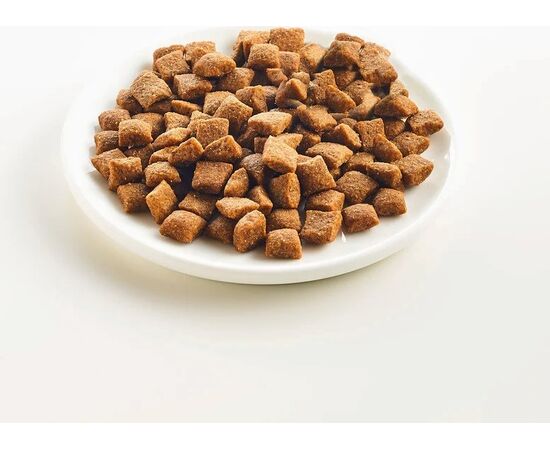 KATTOVIT URINARY - TUŃCZYK 4KG