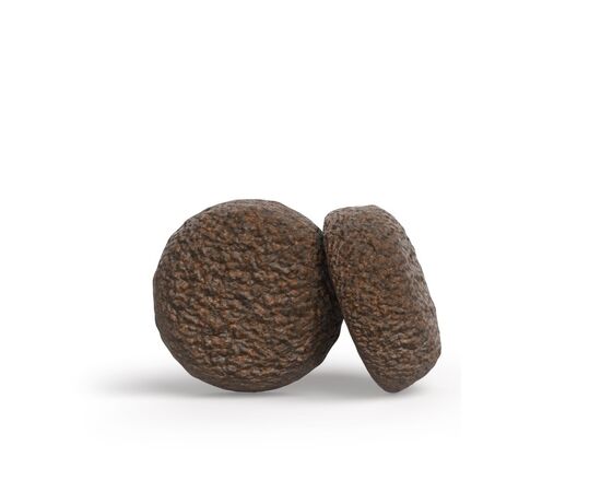 JOSERA YOUNGSTAR - DRY DOG FOOD - 12,5KG