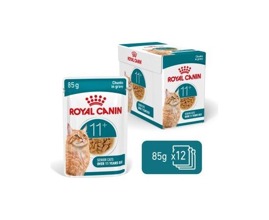 ROYAL CANIN FHN CAT AGEING 11+ GRAVY 12X85G