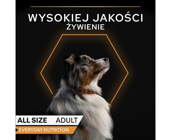 PURINA NESTLE PURINA PRO PLAN EVERYDAY NUTRITION ALL SIZE ADULT FISH IN JELLY - WET DOG FOOD - 400G