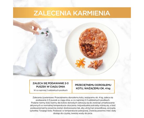 PURINA NESTLE PURINA GOURMET GOLD SAVOURY CAKE - WET CAT FOOD - 48X85G