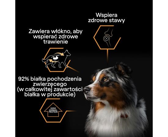 PURINA NESTLE PURINA PRO PLAN EVERYDAY NUTRITION ALL SIZE ADULT TURKEY IN JELLY - WET DOG FOOD - 400G