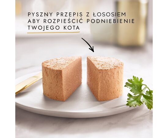 PURINA NESTLE PURINA GOURMET GOLD MOUSSE WITH SALMON - WET CAT FOOD - 85G