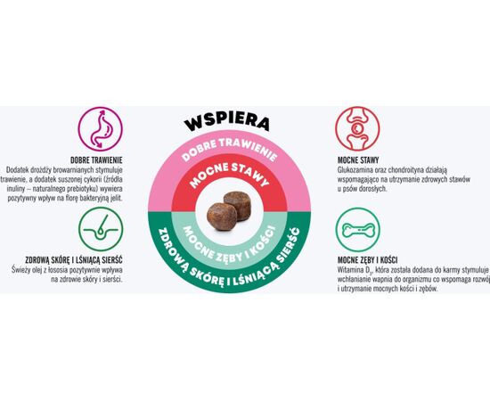 JOHN DOG GOOD FORM ADULT CHICKEN WITH BEEF - DRY DOG FOOD - 12 KG