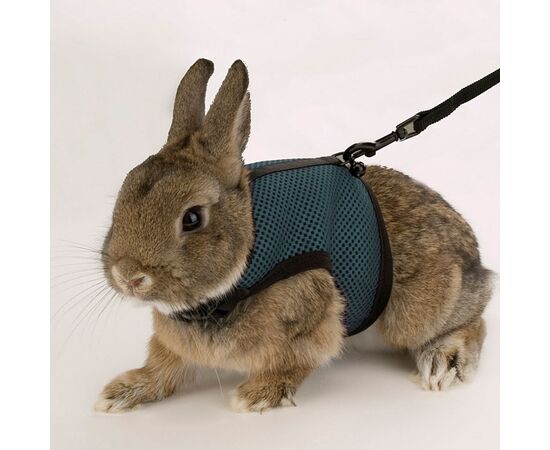 FERPLAST JOGGING LARGE - RODENT HARNESS