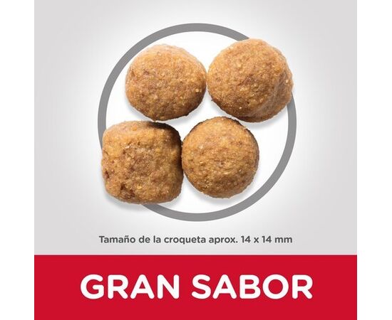 HILL'S HILLS 604387 DOGS DRY FOOD 14 KG CHICKEN, BEEF, PORK