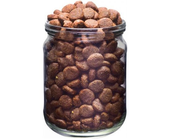 BRIT FRESH BEEF WITH PUMPKIN PUPPY LARGE GROWTH & JOINTS - DRY DOG FOOD - 12 KG