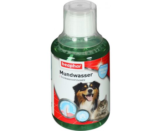 BEAPHAR ORAL & DENTAL CARE FOR DOGS AND CATS 250 ML
