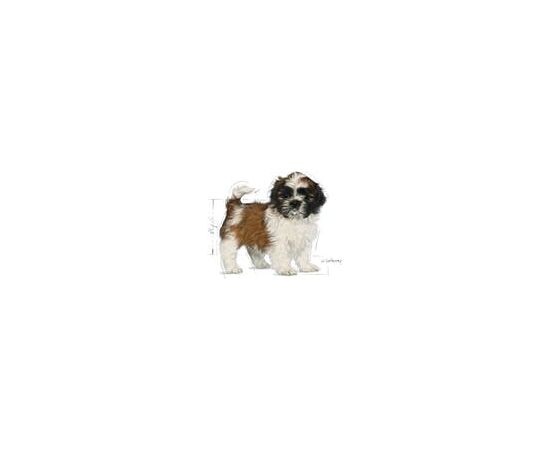 ROYAL CANIN SHIH TZU PUPPY 0.5KG
