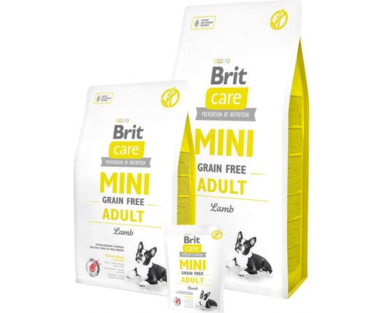 BRIT CARE MINI GRAIN FREE ADULT LAMB - DRY DOG FOOD - LAMB 2 KG