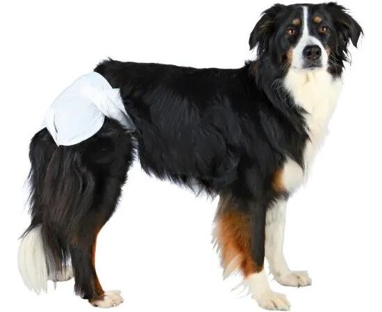 TRIXIE - NAPPIES FOR DOGS - XL