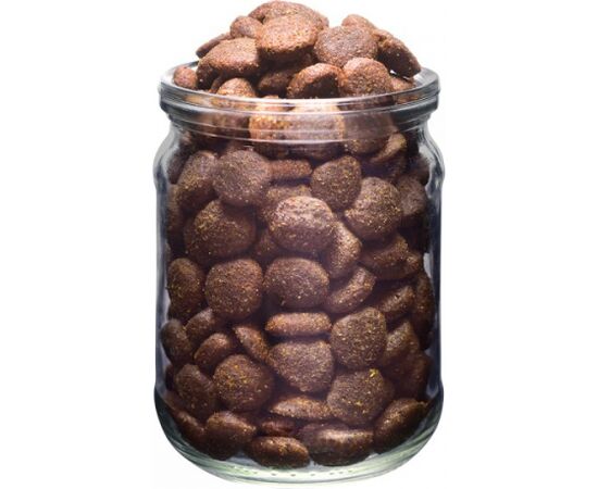 BRIT FRESH FISH WITH PUMPKIN ADULT LARGE MUSCLES & JOINTS 12 KG