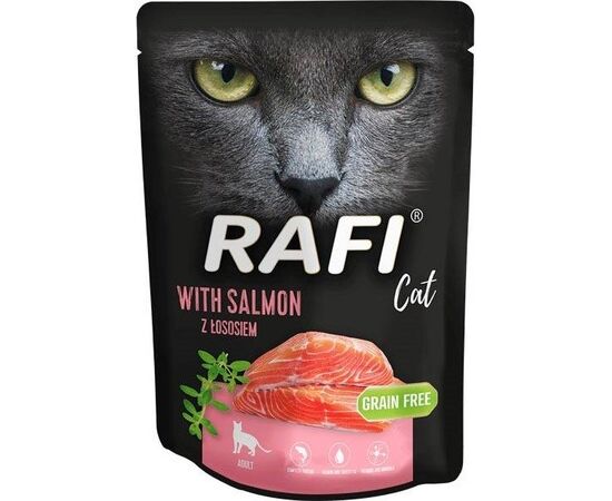 DOLINA NOTECI RAFI CAT WITH SALMON - WET CAT FOOD - 300 G