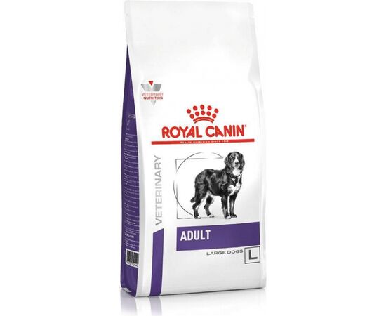 ROYAL CANIN ADULT LARGE - DRY FOOD 13 KG