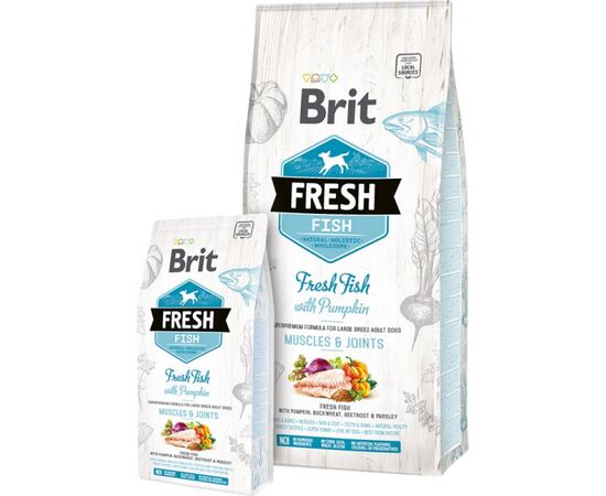 BRIT FRESH FISH WITH PUMPKIN ADULT LARGE MUSCLES & JOINTS 12 KG