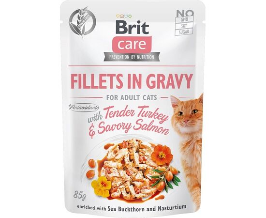 BRIT CARE FILLETS IN GRAVY TURKEY AND SALMON IN SAUCE - WET CAT FOOD - 85 G