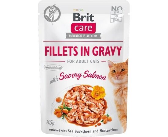 BRIT CARE FILLETS IN GRAVY SALMON FILLETS IN SAUCE - WET CAT FOOD - 85 G