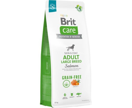 BRIT DRY DOG ​​FOOD - BRIT CARE GRAIN-FREE ADULT SALMON WITH POTATOES - 12 KG