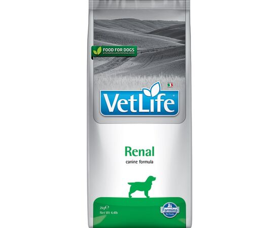 FARMINA VET LIFE DOG RENAL 2 KG