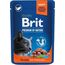 BRIT PREMIUM CAT SALMON STERILISED - WET CAT FOOD - 100G