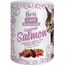 BRIT CARE SUPERFRUITS SALMON - CAT TREATS - 100 G