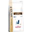 ROYAL CANIN GASTRO INTESTINAL CATS DRY FOOD 2 KG ADULT
